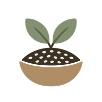 Chia Seed
