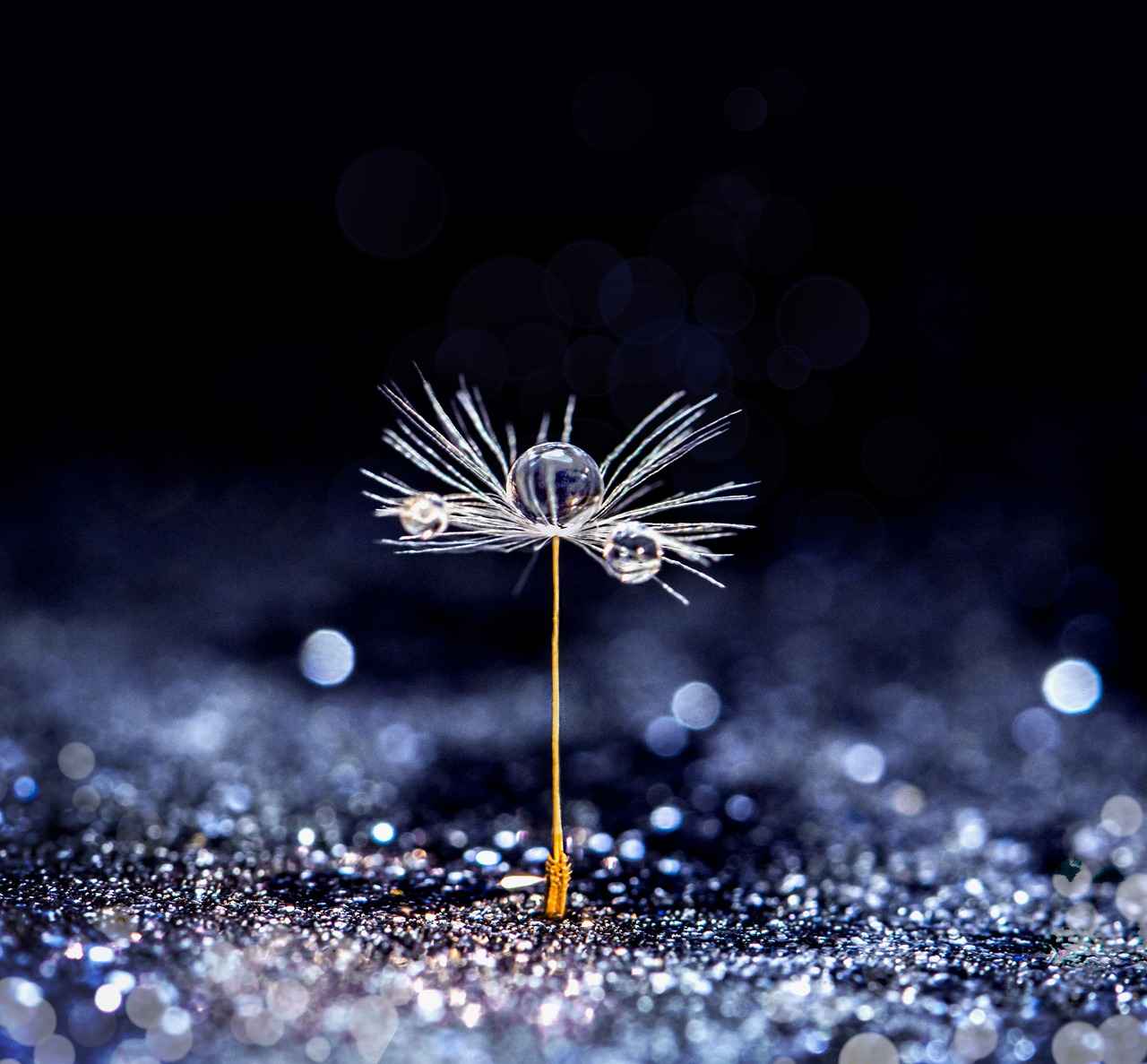 Aldi Chia Seeds: Are They Worth Buying? A Full Review 3 How Much Do Aldi Chia Seeds Cost?