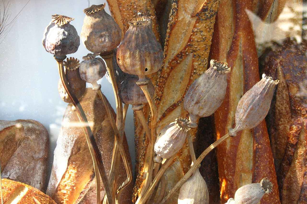 How Long Do Chia Seeds Last?