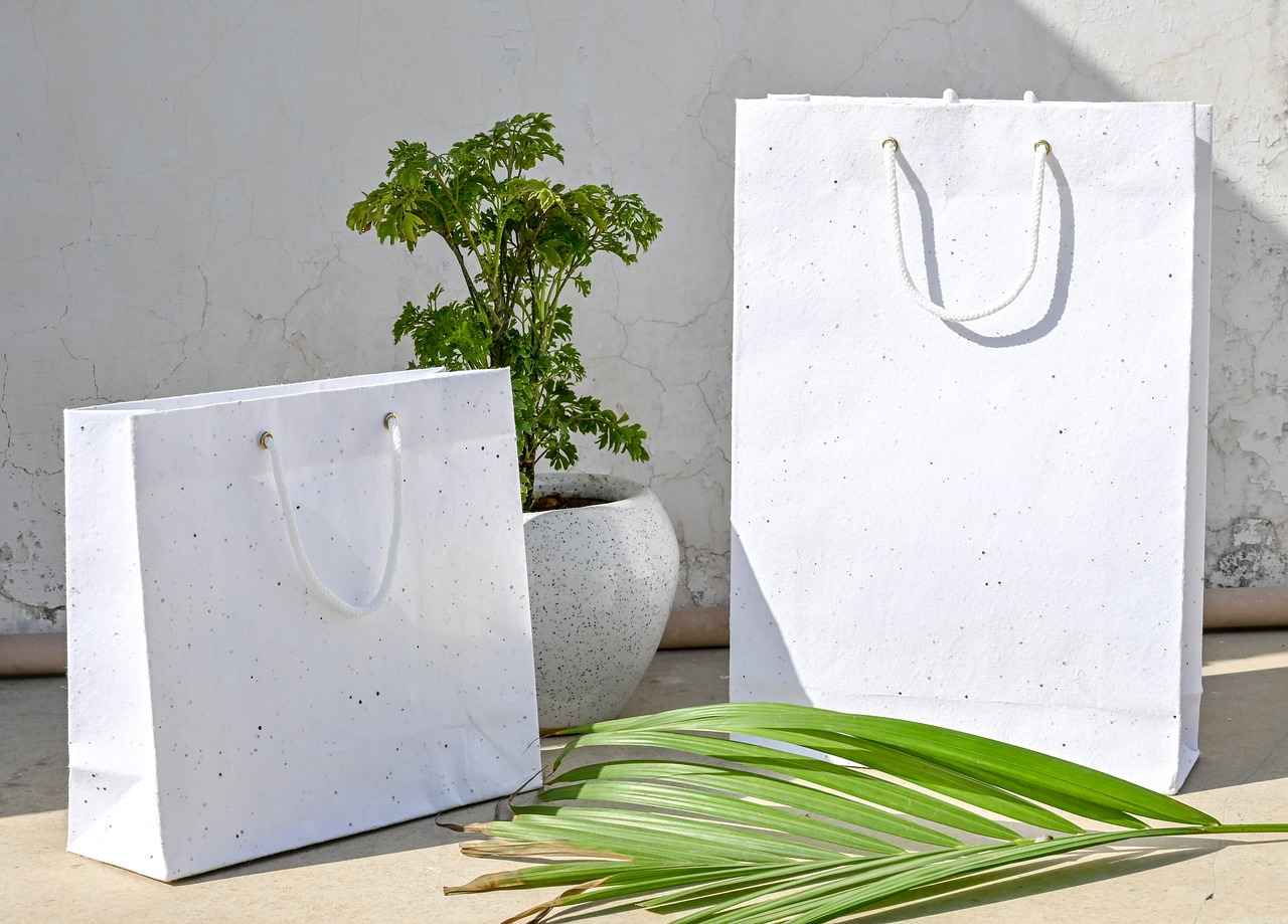 How Can Chia Seeds Improve Energy Levels?