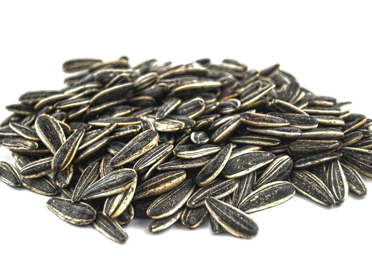 Why Are Chia Seeds Considered a Superfood?
