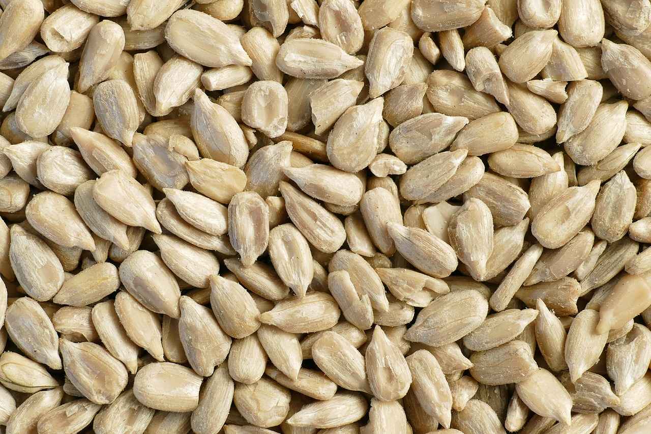 What Are Chia Seeds?