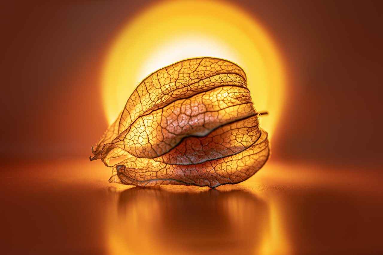 Chia Seed Pudding Ratio: The Perfect Consistency Formula Chia Seed Pudding Ratio: The Perfect Consistency Formula