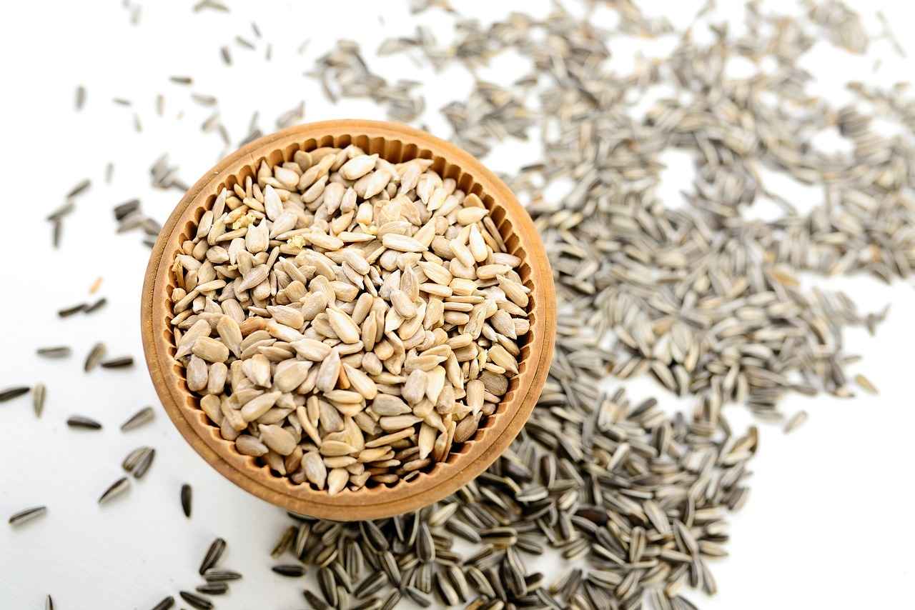 How to Incorporate Fresh Chia Seeds into Your Diet?