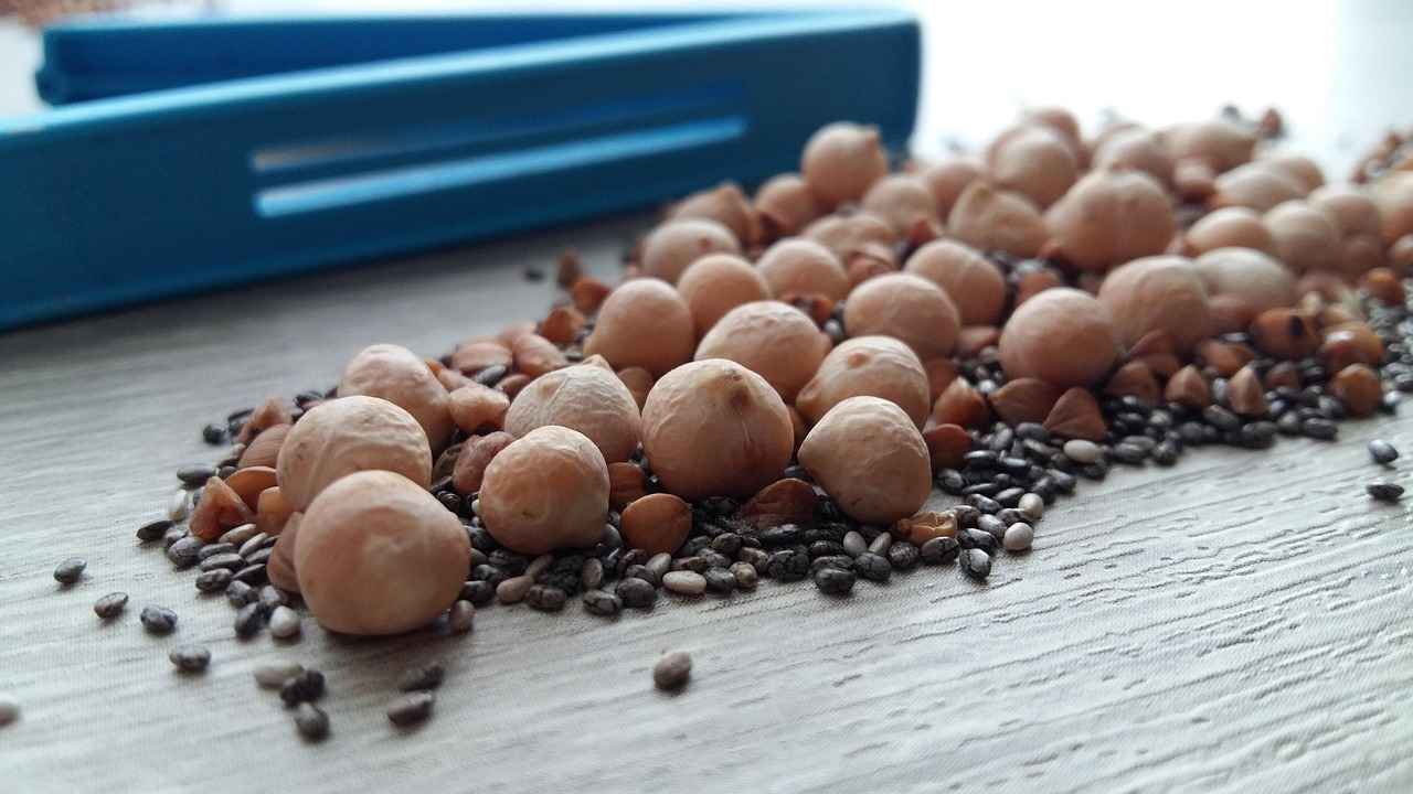 What Are Chia Seeds?