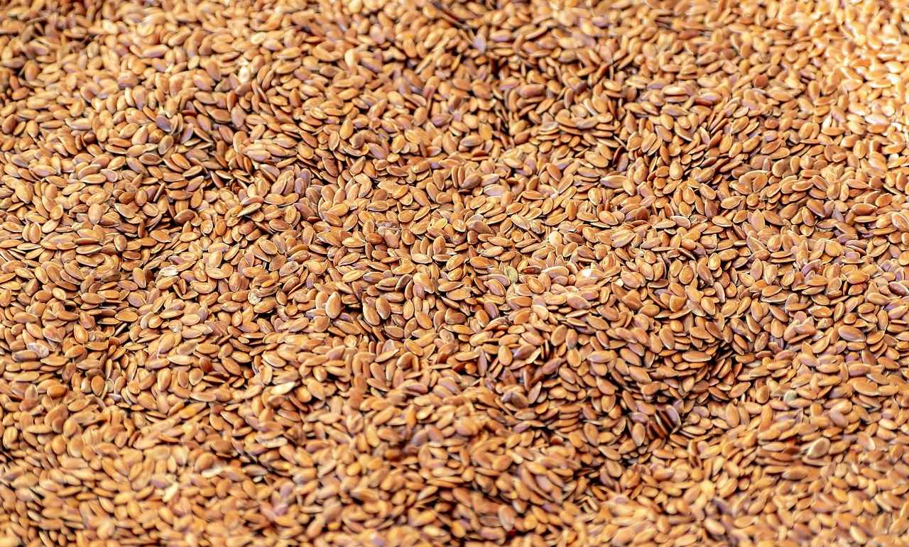 Best Ways to Store Chia Seeds