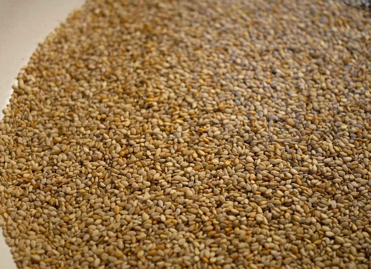 How Do Chia Seeds Affect Digestion?