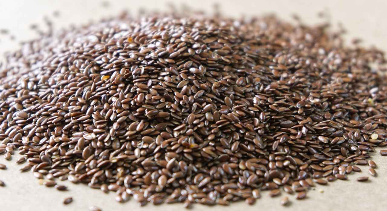 How Much Fiber Is in Chia Seeds? The Answer Might Surprise You 2 How Much Fiber Is in Chia Seeds?