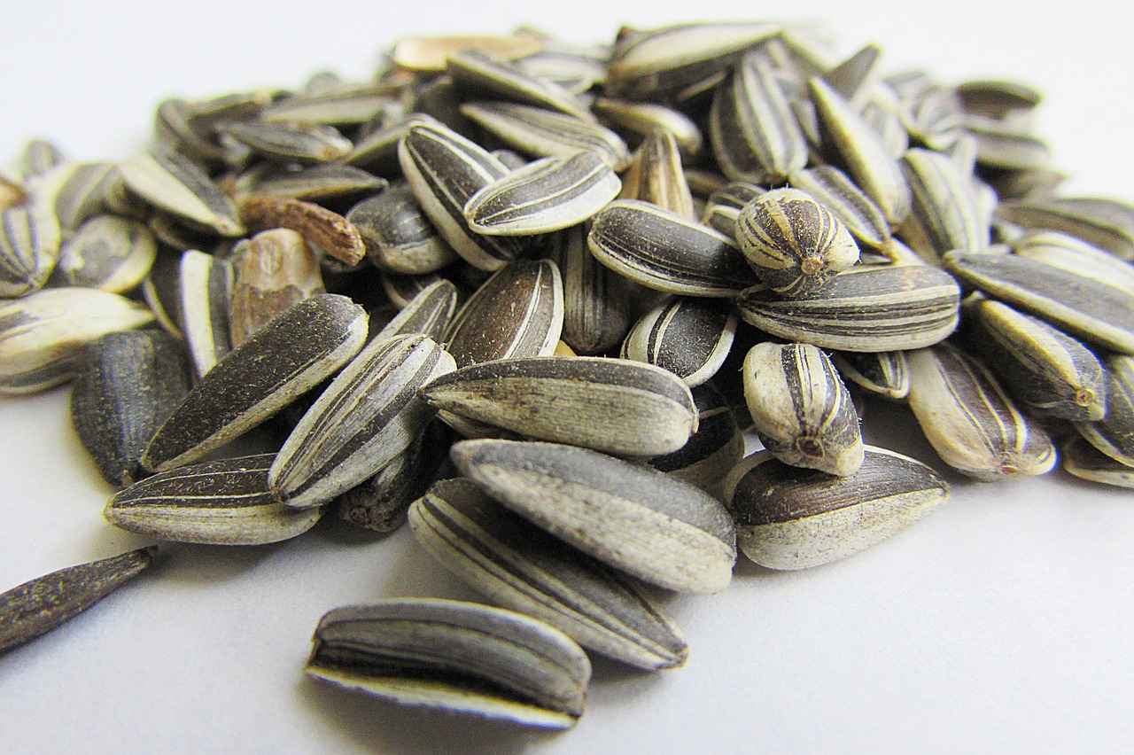 How to Drink Chia Seeds: Simple and Effective Hydration Tips 2 How to Prepare Chia Seeds for Drinking?