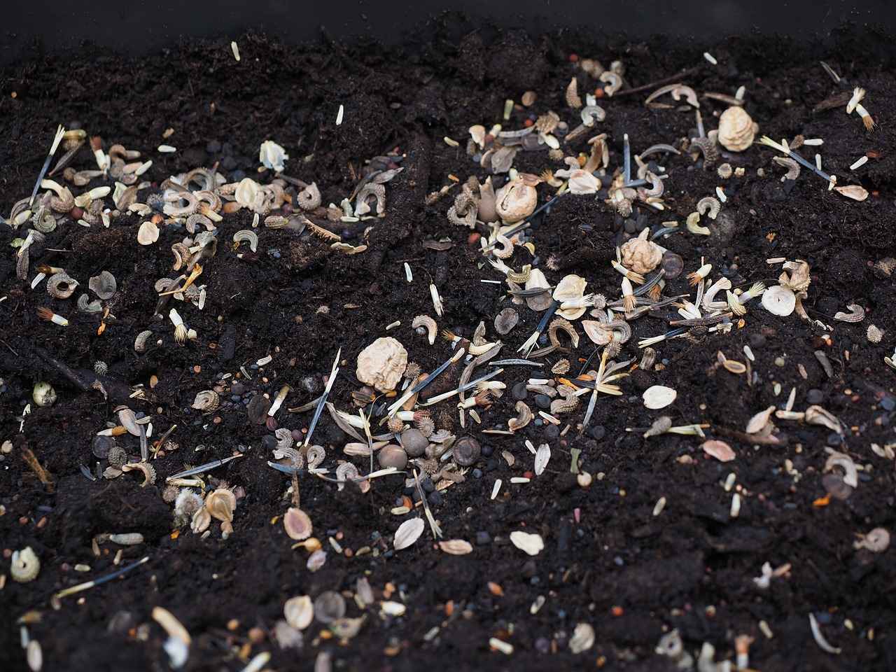 How to Prepare Chia Seeds: The Ultimate Guide for Beginners 4 How to Incorporate Chia Seeds into Your Diet?