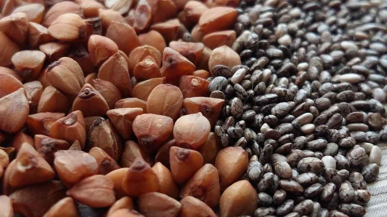 How Should Chia Seeds Be Stored?