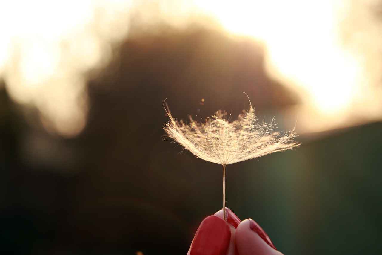 Local Grocery Stores: Where to Find Chia Seeds?