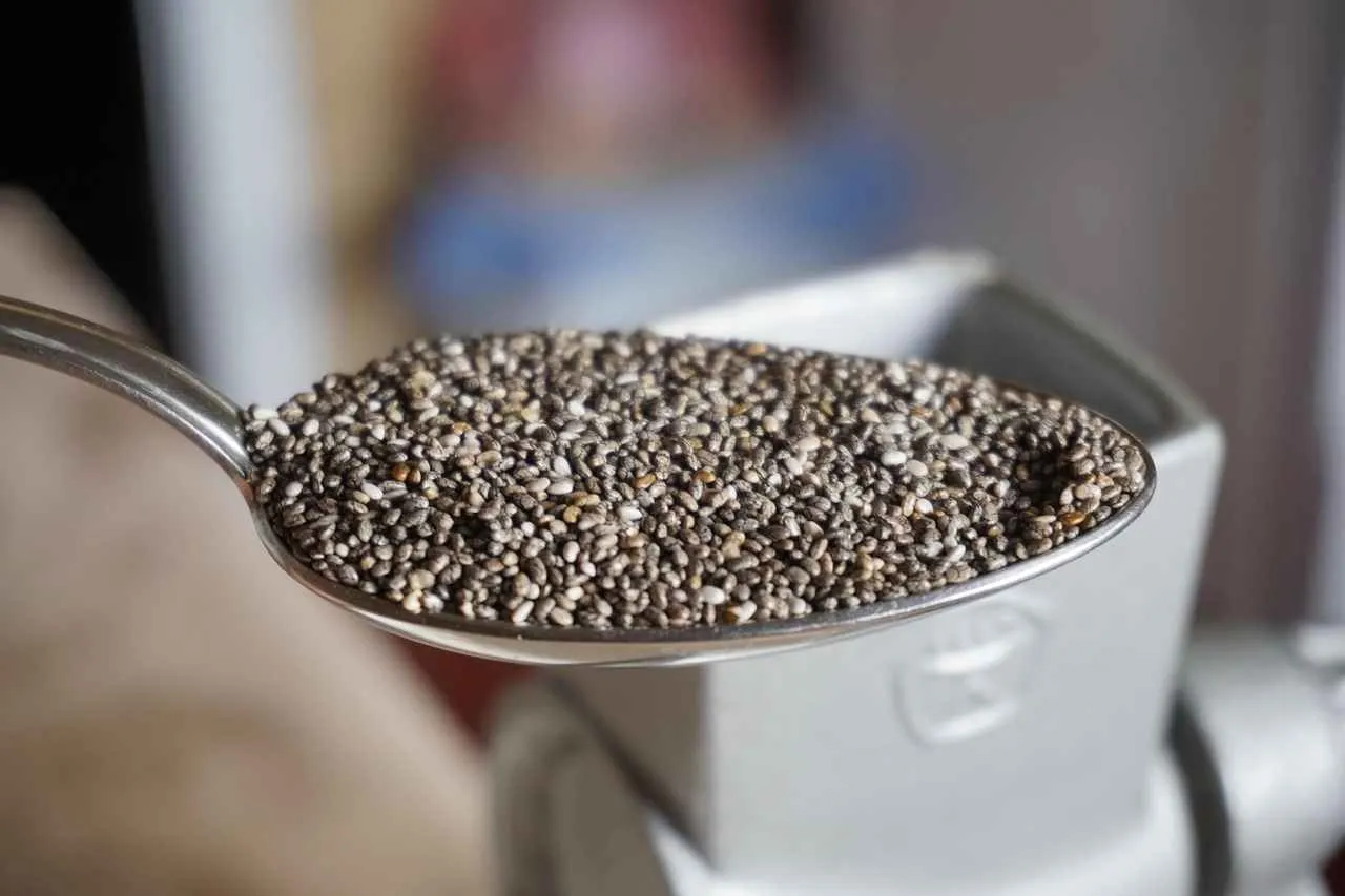 Why Is Chia Seeds Good for You? Health Benefits Backed by Science Why Is Chia Seeds Good for You? Health Benefits Backed by Science