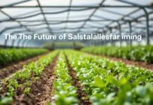 Harnessing Innovation: The Future of Sustainable Agriculture Harnessing Innovation: The Future of Sustainable Farming