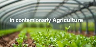 Innovation and Sustainability in Modern Agriculture: A Comprehensive Guide Innovation and Sustainability in Contemporary Agriculture: A Comprehensive Guide