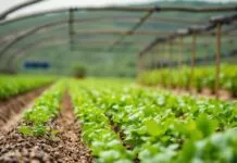 Sustainable Farming Practices for a Hotter Climate Sustainable Farming Practices for a Warmer Climate