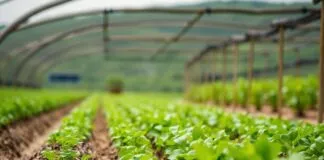 Sustainable Farming Practices for a Hotter Climate Sustainable Farming Practices for a Warmer Climate