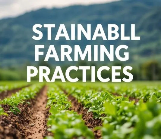 Sustainable Farming Practices: Nurturing the Land and the Future Sustainable Farming Practices: Nurturing the Land and the Future