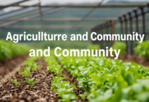 The Intersection of Agriculture and Community: A Holistic Approach to Sustainable Farming The Intersection of Agriculture and Community: A Comprehensive Approach to Sustainable Farming