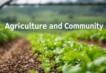 The Intersection of Agriculture and Community: Cultivating More Than Crops The Intersection of Agriculture and Community: Cultivating More Than Just Crops