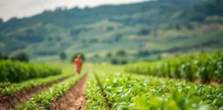 The Intersection of Agriculture and Immigration: A Delicate Balance The Intersection of Agriculture and Immigration: A Delicate Balance