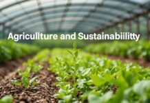 The Intersection of Agriculture and Sustainability: Cultivating a Greener Future The Intersection of Agriculture and Sustainability: Nurturing a Greener Future