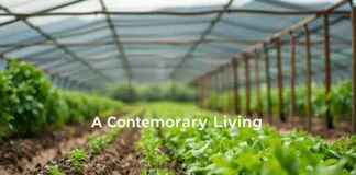 The Intersection of Agriculture and Sustainable Living: A Modern Perspective The Intersection of Agriculture and Sustainable Living: A Contemporary Viewpoint