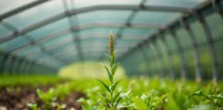 Discover the Hidden Gems of Agricultural Innovation Online Discover the Hidden Treasures of Agricultural Innovation Online