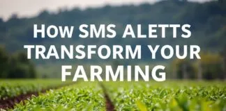 How SMS Alerts Can Revolutionize Your Farming Routine How SMS Alerts Can Transform Your Farming Routine