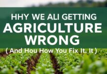 Why We’re All Doing Agriculture Wrong (And How to Fix It) Why We're All Getting Agriculture Wrong (And How to Fix It)