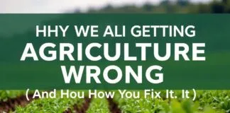 Why We’re All Doing Agriculture Wrong (And How to Fix It) Why We're All Getting Agriculture Wrong (And How to Fix It)