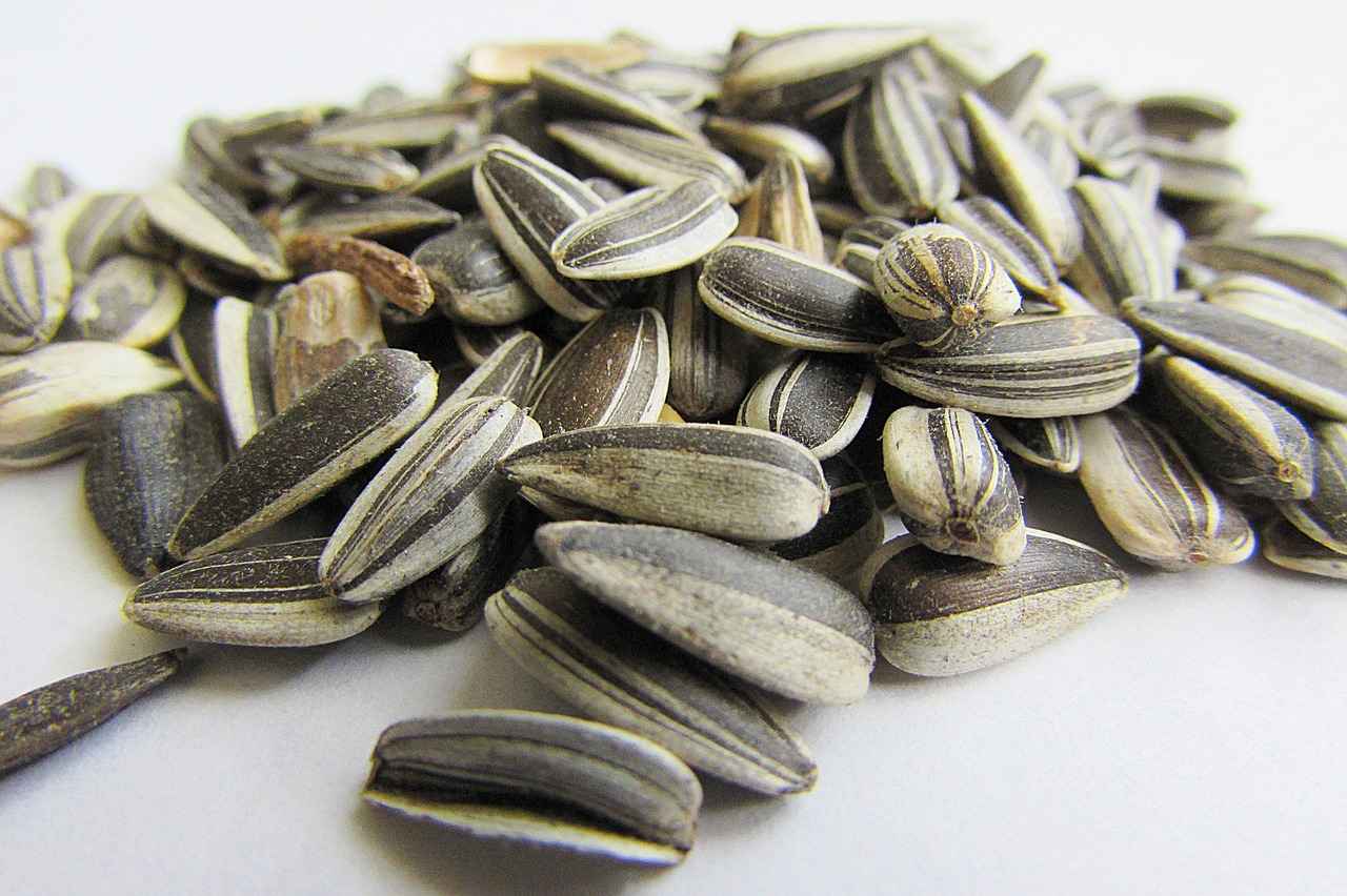 Are Chia Seeds Keto-Friendly? A Low-Carb Superfood Explained