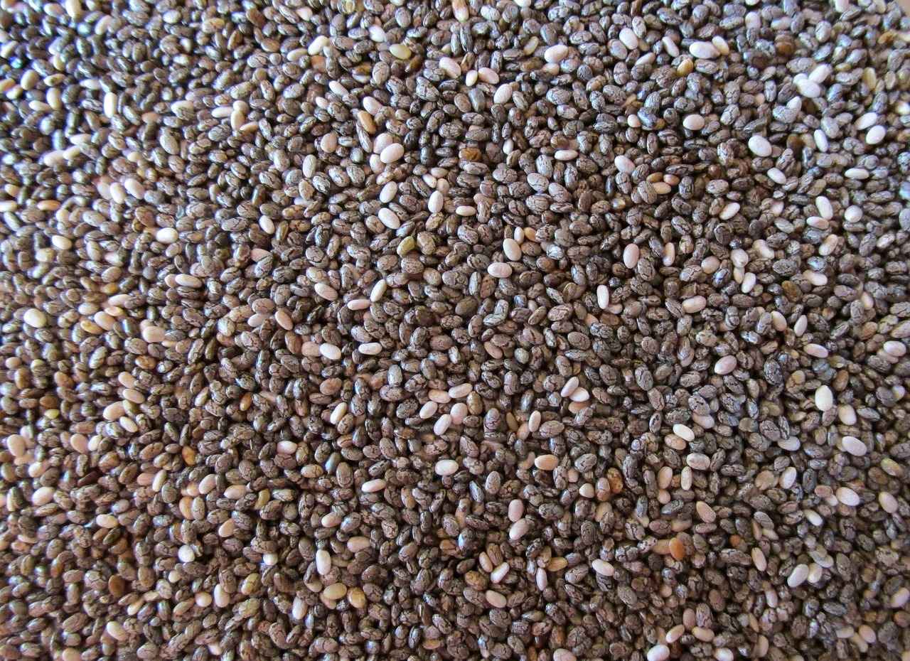 How Do Chia Seeds Contribute to Bone Health?