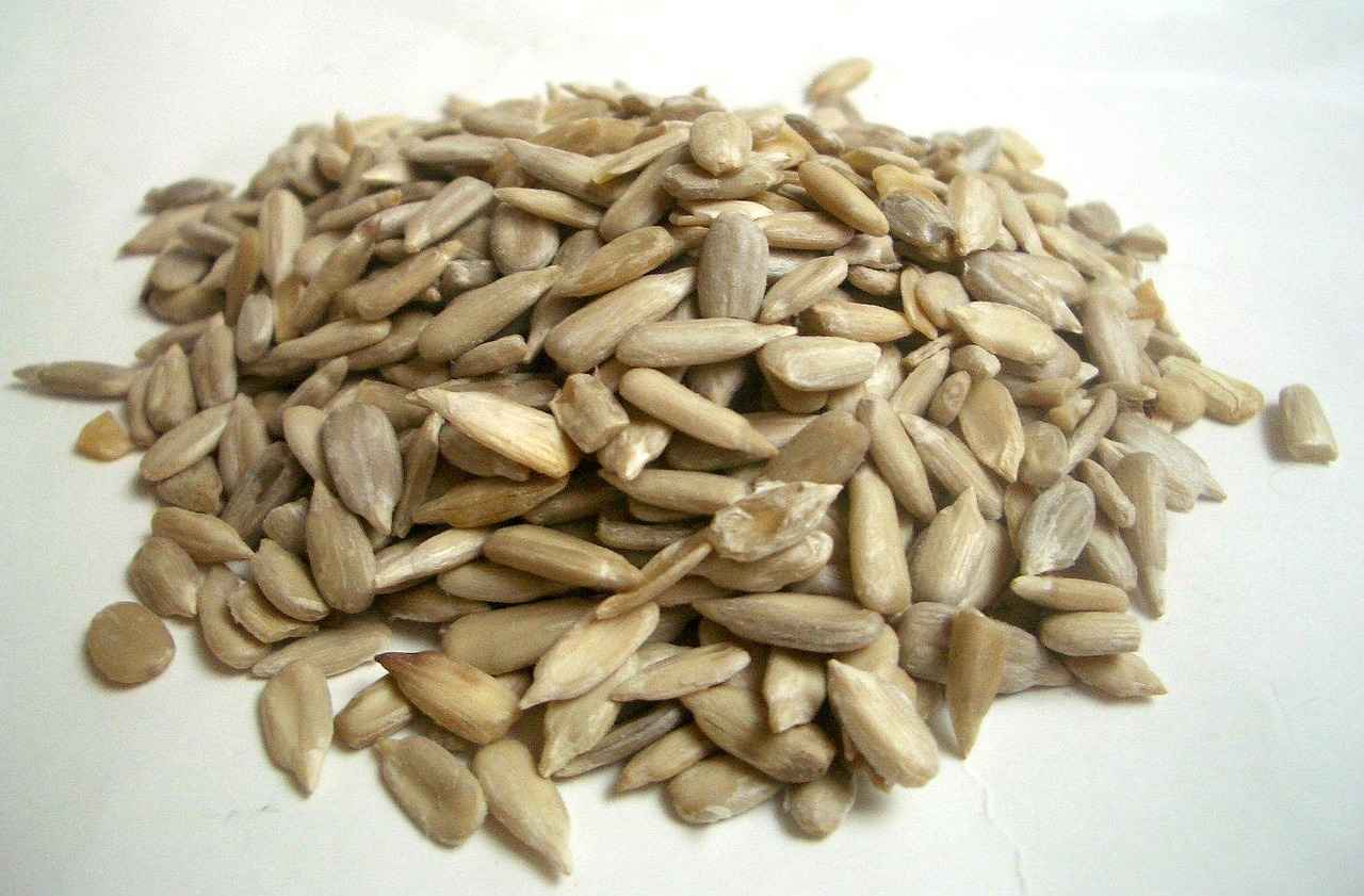 Are Chia Seeds Beneficial for Bone Health?