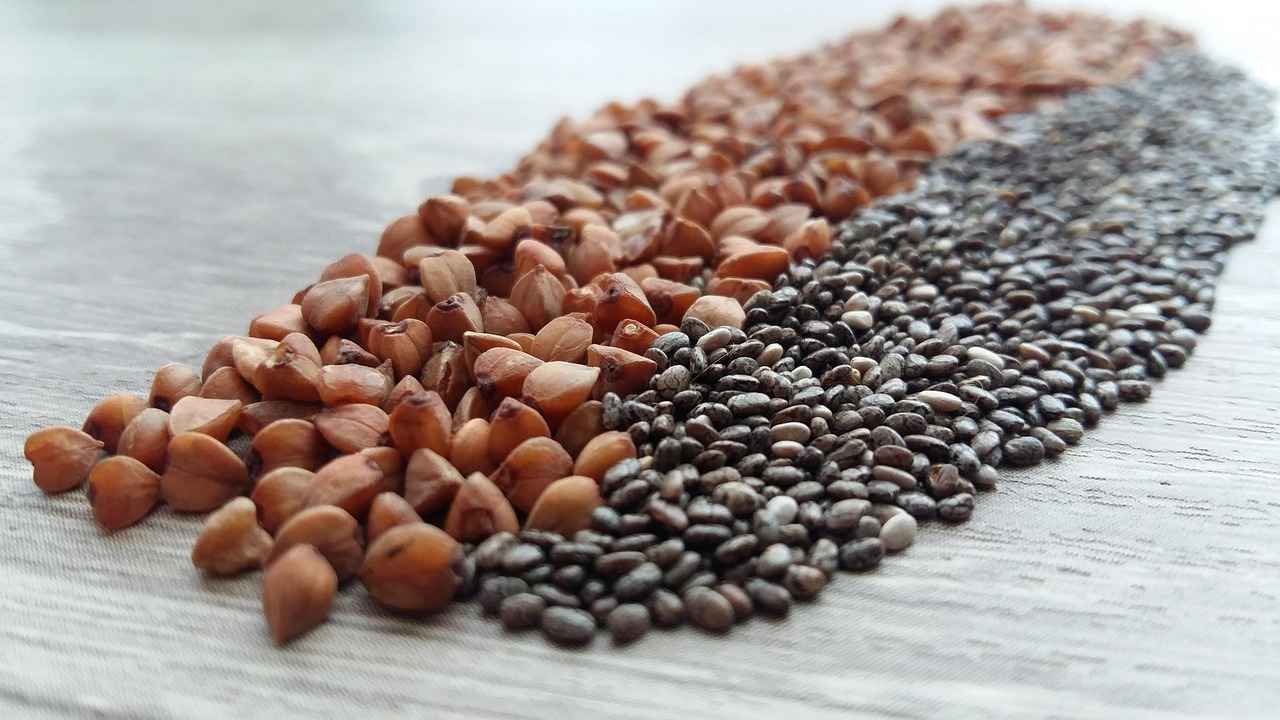 What Are Chia Seeds?