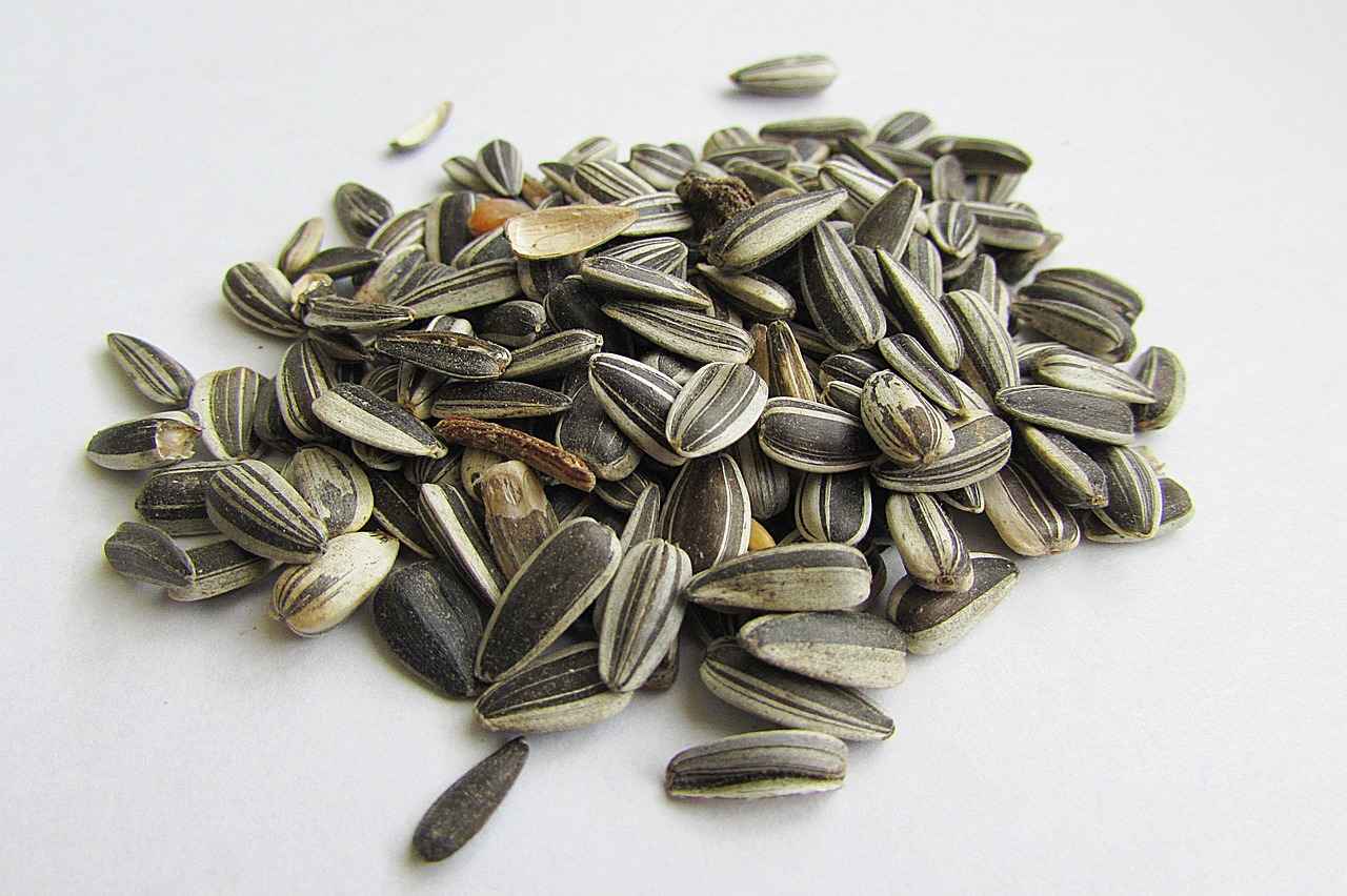 Why Choose Keto-Friendly Desserts?