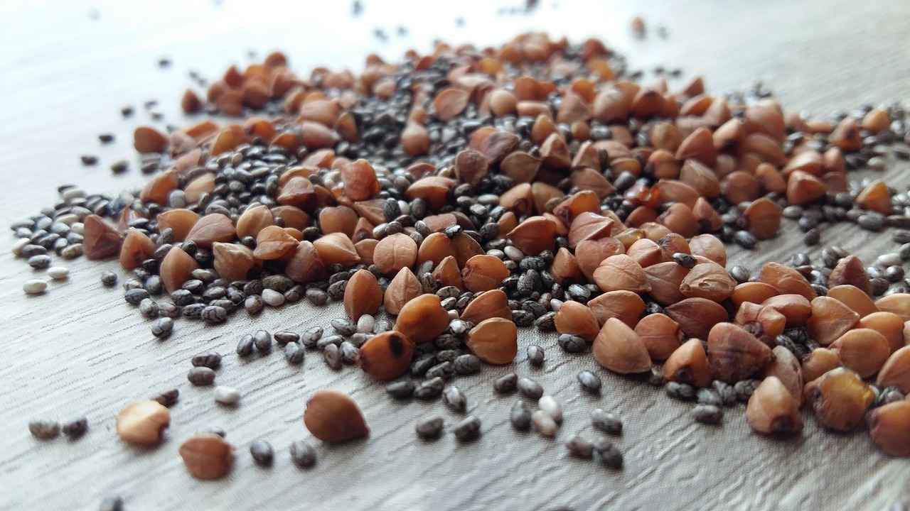 What Are the Nutritional Benefits of Soaked Chia Seeds?