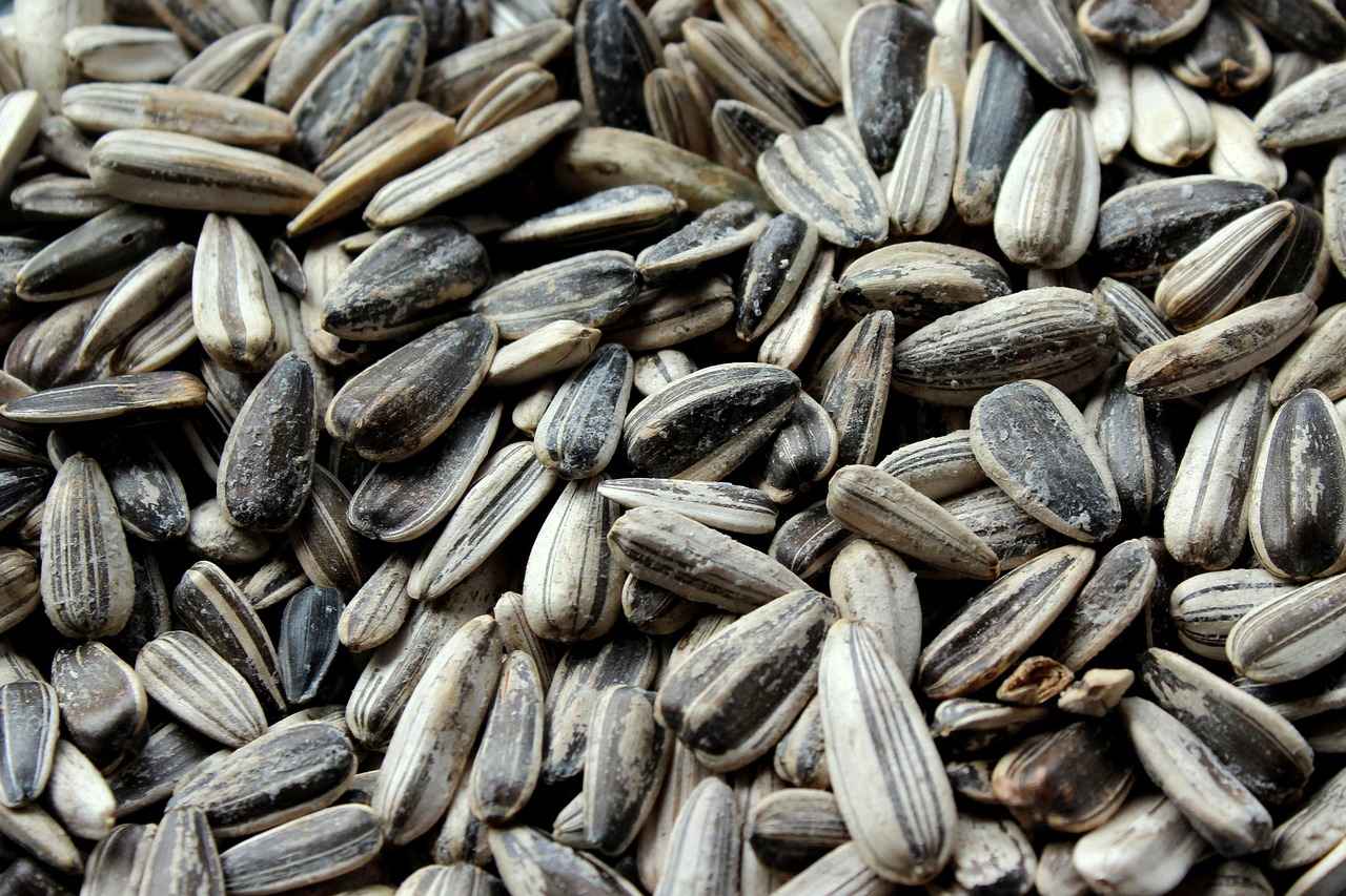 How to Store Chia Seeds Properly?