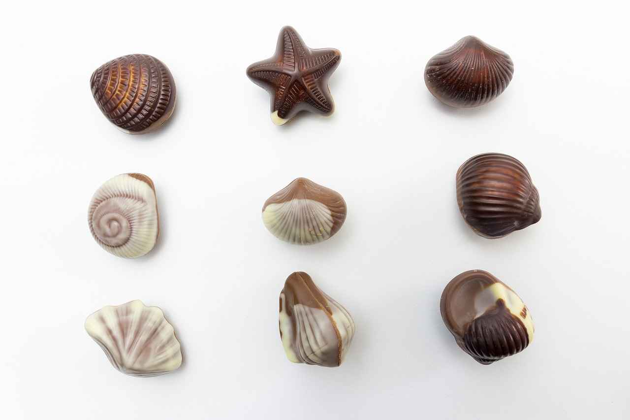 Ingredients for Chocolate Chia Seed Pudding