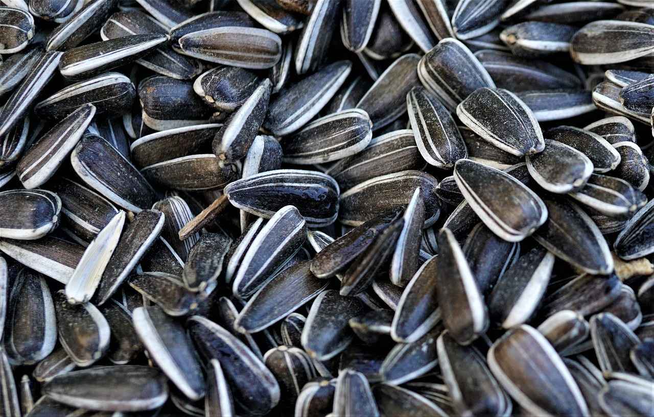 Why Choose Costco for Chia Seeds?