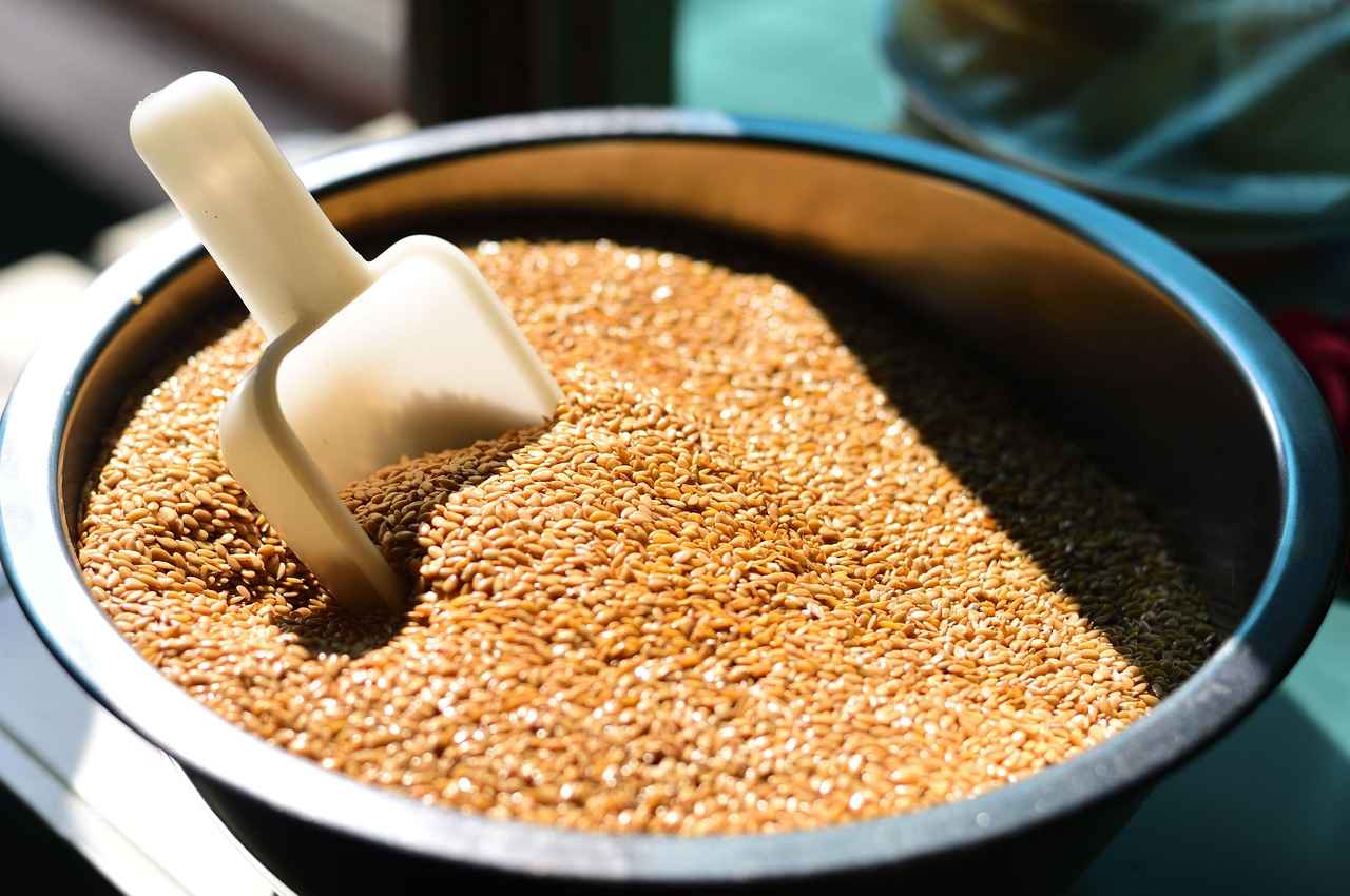 How Do Flaxseed and Chia Seed Nutritional Profiles Compare?