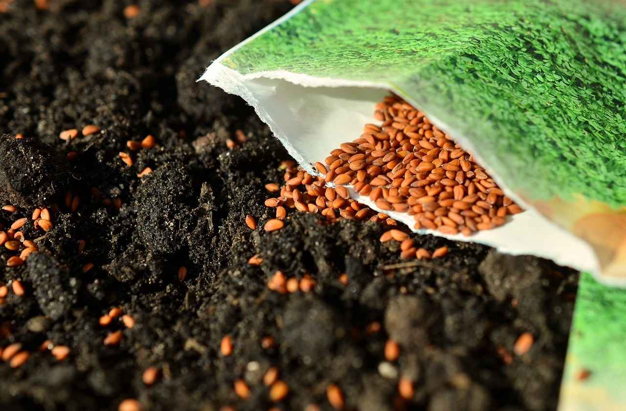 How to Use Chia Seeds in Baking?