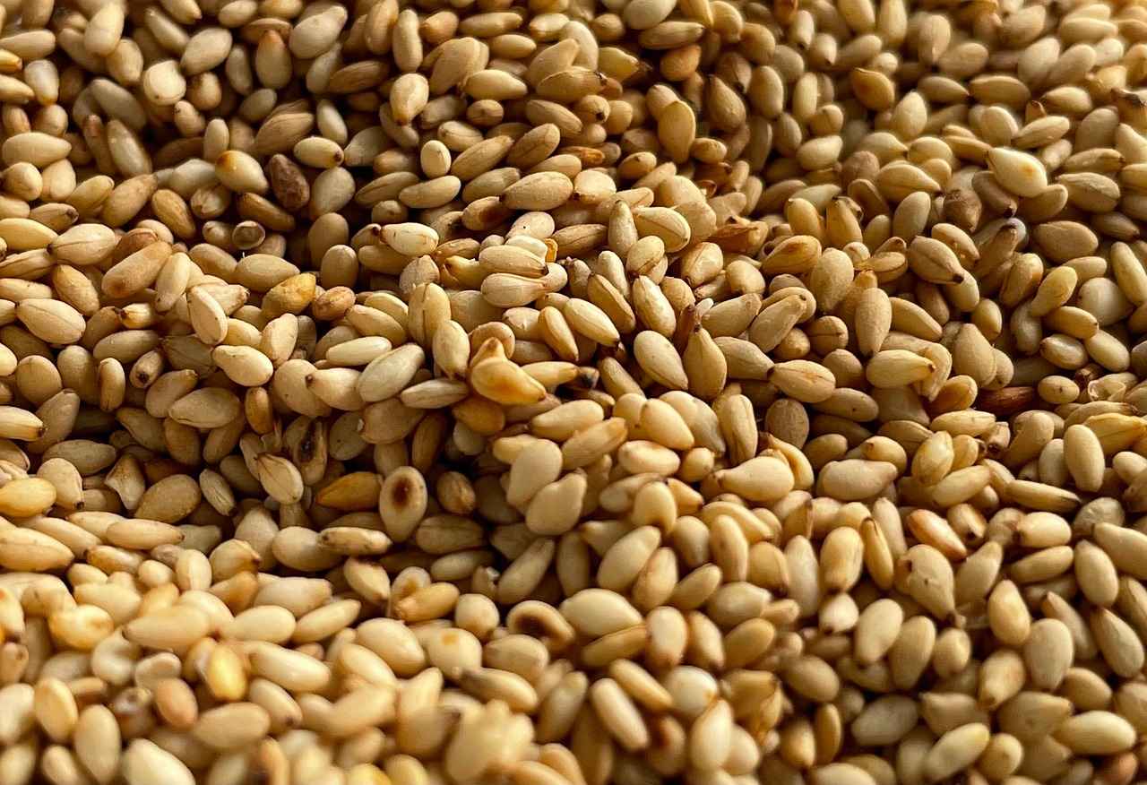 How Do Chia Seeds Contribute to Bone Health?