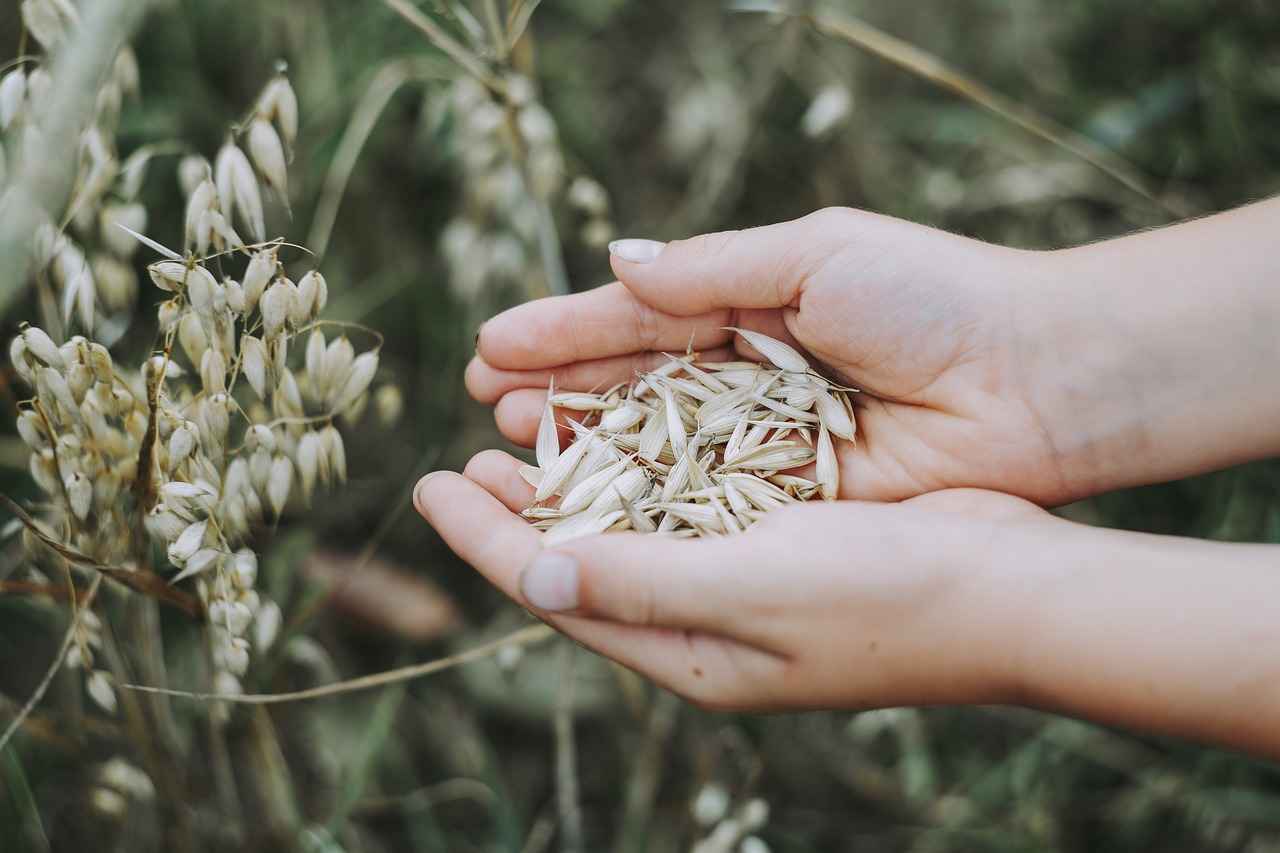 How to Prepare Overnight Oats with Chia Seeds?