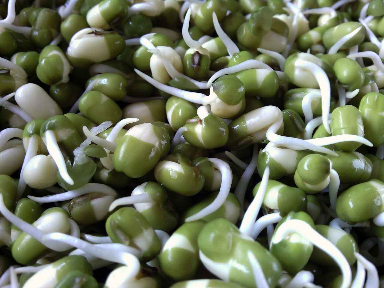 What Nutrients Do Chia Seeds Contain?